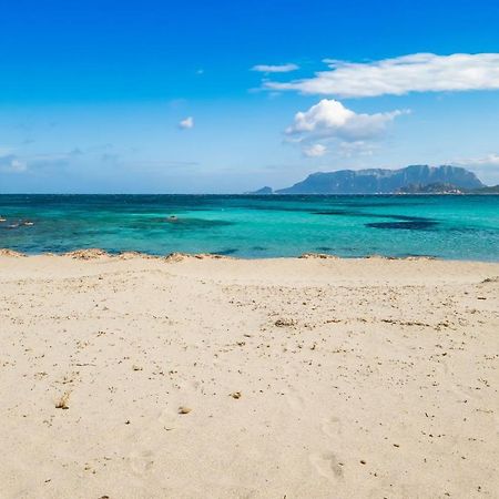 Le Dimore Di Nettuno Олбия Екстериор снимка